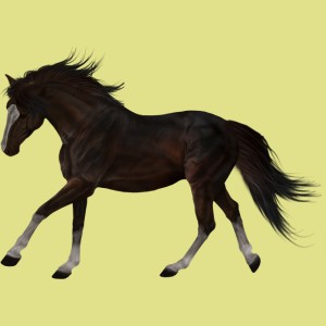 1001492-normal.jpg?_ga=1.192480297.2027291864.1454004676