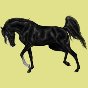 1001759-normal.jpg?_ga=1.229386527.2027291864.1454004676