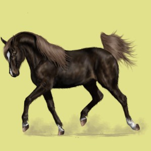 1002448-normal.jpg?_ga=1.233947421.2027291864.1454004676