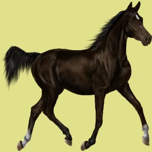 1002545-normal.jpg?_ga=1.28454079.2027291864.1454004676