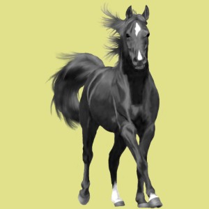 1002933-normal.jpg?_ga=1.233947421.2027291864.1454004676