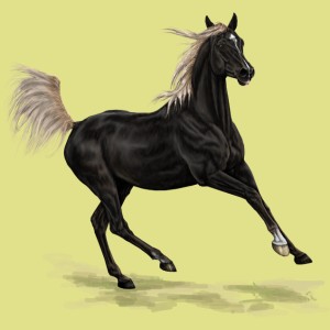 1003070-normal.jpg?_ga=1.229697951.2027291864.1454004676