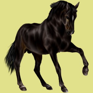 2393-normal.jpg?_ga=1.231270556.2027291864.1454004676