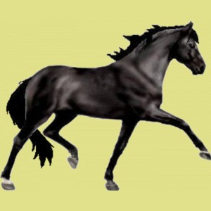 410-normal.jpg?_ga=1.154329531.2027291864.1454004676